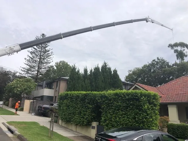 Above All crane lifting a tree section over a Sydney street